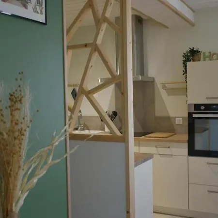 Maison Moderne Avec Terrasse Et Jardin à Beaune-d'allier - Fr-1-489-554